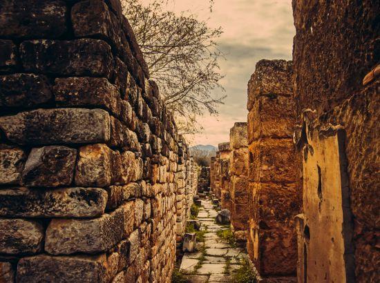 ਹਾਂਸੀ: ਇਤਿਹਾਸ ਦੇ ਕੇਂਦਰ ਤੋਂ ਹਾਸ਼ੀਏ ਤੱਕ ਅਤੇ ਫਿਰ ਜ਼ਿਲ੍ਹੇ ਦੀ ਦਹਿਲੀਜ਼ ਤੱਕ-- -ਪ੍ਰਿਯੰਕਾ ਸੌਰਭ