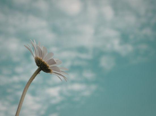 ਵਗੀ ਪੁਰੇ ਦੀ ’ਵਾ ਪੰਜਾਬੇ -ਗੁਰਮੀਤ ਸਿੰਘ ਪਲਾਹੀ