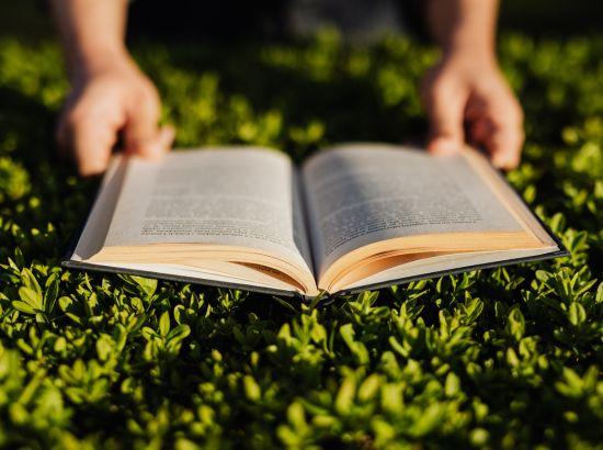  ਕਹਾਣੀ...(ਆਓ ਅਸੀਂ ਮਜ਼ਬੂਤ ਰੁੱਖ ਬਣੀਏ ) -- ਗੁਰਪ੍ਰੀਤ ਸਿੰਘ ਜਖਵਾਲੀ 