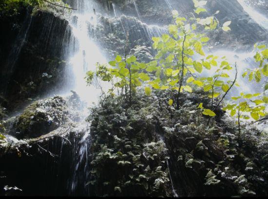 ਮਨ ਵਿੱਚ ਚਾਹਤ ਹੋਵੇ ਤਾਂ ਜਿਊਣਾ ਵੀ ਰੂਹਾਨੀ ਅਤੇ ਅਲੌਕਿਕ ਯਾਤਰਾ ਬਣ ਜਾਂਦਾ ਹੈ-ਡਾ ਅਮਰਜੀਤ ਟਾਂਡਾ