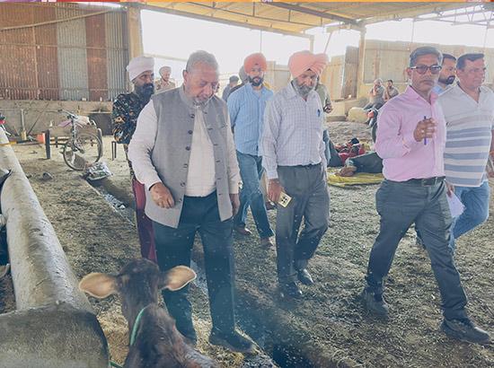 ਪੰਜਾਬ ਰਾਜ ਗਊ ਸੇਵਾ ਕਮਿਸ਼ਨ ਦੇ ਚੇਅਰਮੈਨ ਅਸ਼ੋਕ ਸਿੰਗਲਾ ਵੱਲੋਂ ਸਰਕਾਰੀ ਗਊਸ਼ਾਲਾ ਕਲਾਨੌਰ ਦਾ ਦੌਰਾ