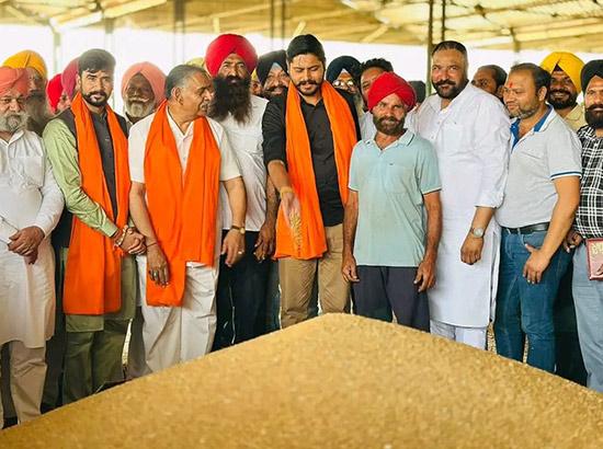 ਕਿਸਾਨਾਂ ਦੀ ਫਸਲ ਦਾ ਦਾਣਾ-ਦਾਣਾ ਖਰੀਦਿਆ ਜਾਵੇਗਾ - ਸ਼ੈਰੀ ਕਲਸੀ