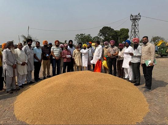 ਮਾਰਕੀਟ ਕਮੇਟੀ ਸਰਹਿੰਦ ਫਤਿਹਗੜ੍ਹ ਸਾਹਿਬ ਦੀਆਂ ਸਾਰੀਆਂ ਮੰਡੀਆਂ ਵਿੱਚ ਕਣਕ ਦੀ ਖਰੀਦ ਸ਼ੁਰੂ