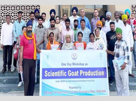 ਵੈਟਨਰੀ ਸਾਇੰਸ ਕਾਲਜ, ਰਾਮਪੁਰਾ ਫੂਲ ਨੇ 'ਵਿਗਿਆਨਕ ਬੱਕਰੀ ਉਤਪਾਦਨ' 'ਤੇ ਵਰਕਸ਼ਾਪ ਕਰਵਾਈ 
