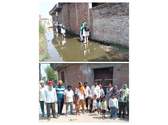 ਗਲੀਆਂ ਵਿੱਚ ਖੜੇ ਗੰਦੇ ਪਾਣੀ ਤੇ ਜੰਮ ਗਈ ਕਾਈ, ਕਿੱਦਾਂ ਗੁਜ਼ਰਦੇ ਗੰਦੇ ਪਾਣੀ ਵਿੱਚੋਂ ਸਕੂਲੀ ਬੱਚੇ