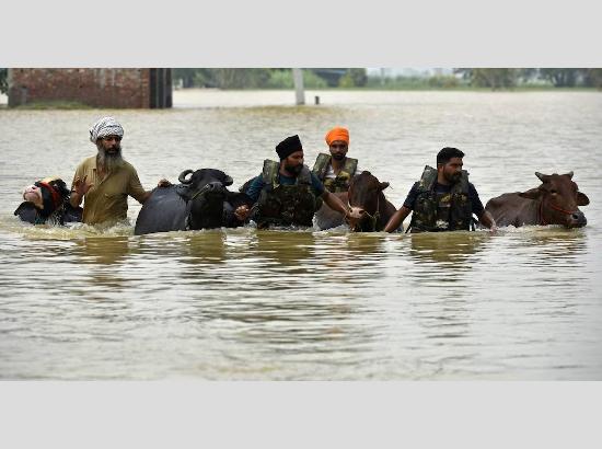ਪੰਜਾਬ ਹੈਰਾਨ-ਪਰੇਸ਼ਾਨ ਹੈ ਭਾਈ!  - ਗੁਰਮੀਤ ਸਿੰਘ ਪਲਾਹੀ