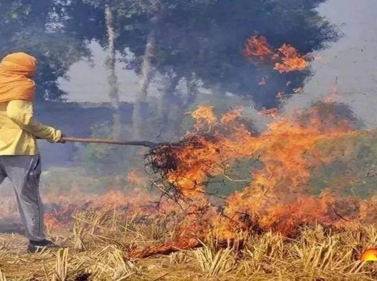 ਪਰਾਲੀ ਸਾੜਨ ਦੀ ਲੋੜ ਹੀ ਨਹੀਂ ਪਵੇਗੀ-ਡਾਕਟਰ ਅਮਰਜੀਤ ਟਾਂਡਾ