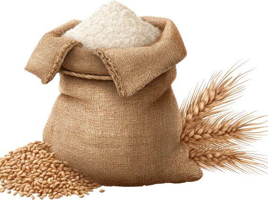 ਆਓ ਅਨਾਜ ਅਤੇ ਆਟੇ ਦੀ ਪੈਕੇਜਿੰਗ ਬਾਰੇ ਜਾਣਕਾਰੀ ਹਾਸਿਲ ਕਰੀਏ- ਜਸ਼ਨਦੀਪ ਕੌਰ