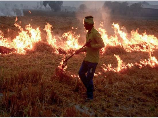 Punjab Stubble! ਸਿਆਸੀ ਰੋਟੀਆਂ ਦੀ ਭੇਟ ਚੜ੍ਹਿਆ ਪਰਾਲੀ ਦਾ ਮੁੱਦਾ! 