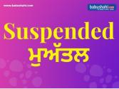 ਵੱਡੀ ਖ਼ਬਰ: ਚੋਣ ਕਮਿਸ਼ਨ ਵੱਲੋਂ ਤਰਨਤਾਰਨ ਦੀ SSP ਸਸਪੈਂਡ