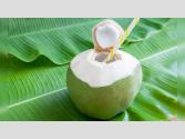 Coconut Water : ਰੋਜ਼ ਪੀਓ ਜਾਂ ਹਫ਼ਤੇ 'ਚ 4 ਵਾਰ? ਜਾਣੋ ਕਿਹੜਾ ਤਰੀਕਾ ਹੈ ਸਭ ਤੋਂ Best?
