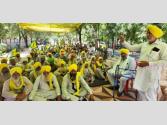 ਮਾਨਸਾ ਦੇ ਕਿਸਾਨ ਮੋਰਚੇ ਵਿੱਚ ਛਾਇਆ ਖਾਦਾਂ ਨਾਲ ਬੇਲੋੜੀਆਂ ਵਸਤਾਂ ਮੜ੍ਹਨ ਦਾ ਮੁੱਦਾ