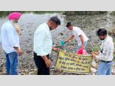 ਡੇਂਗੂ ਦੀ ਰੋਕਥਾਮ ਲਈ ਜਗਰਾਉਂ ਦੇ ਛੱਪੜਾਂ ਵਿੱਚ ਛੱਡੀਆਂ ਗਈਆਂ ਗੰਬੂਜੀਆ ਮੱਛੀਆਂ
