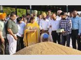 ਬਨੂੰੜ ਮੰਡੀ 'ਚ ਕਣਕ ਖਰੀਦ ਦੀ ਸ਼ੁਰੂਆਤ