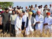 ਖੇਤੀਬਾੜੀ ਵਿਭਾਗ ਦੇ 500 ਤੋਂ ਵੱਧ ਮੁਲਾਜ਼ਮ ਫਸਲਾਂ ਦੇ ਨੁਕਸਾਨ ਦਾ ਲੈਣਗੇ ਜਾਇਜ਼ਾ: ਖੁੱਡੀਆਂ