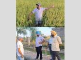 ਮਾਈਨਰ ਸੂਏ ਦਾ ਪਾਣੀ ਓਵਰਫਲੋਅ, ਕਿਸਾਨਾਂ ਨੇ ਪੱਕਣ ਕਿਨਾਰੇ ਖੜ੍ਹੀ ਫ਼ਸਲ ਖਰਾਬ ਹੋਣ ਦਾ ਲਗਾਇਆ ਦੋਸ਼