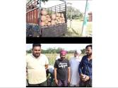 ਪੰਚਾਇਤੀ ਜਮੀਨ ਵਿੱਚੋਂ ਸਫੈਦਿਆਂ ਦੇ ਰੁੱਖ ਵੱਢਣ ਦਾ ਮਾਮਲਾ ਭੱਖਿਆ 
