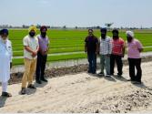 ਝੋਨੇ ਦੀ ਮੈਟ ਟਾਈਪ ਨਰਸਰੀ ਦੇ ਸਬੰਧ ਵਿੱਚ ਟ੍ਰੇਨਿੰਗ ਅਤੇ ਪ੍ਰਦਰਸ਼ਨੀ